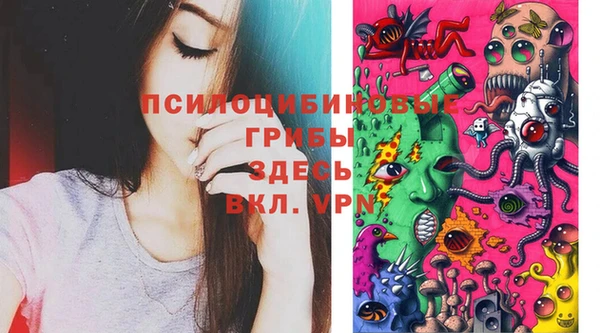 прущие крисы Арсеньев
