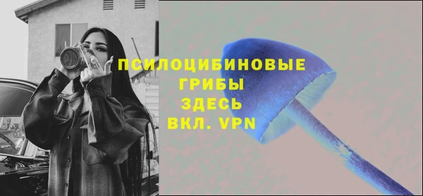 прущий лед Аркадак