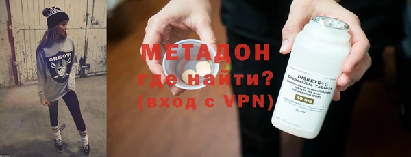 индика Няндома
