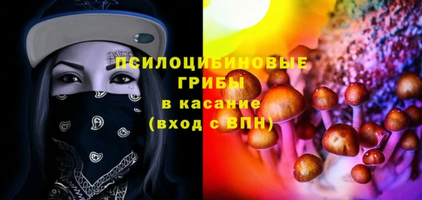 прущий лед Аркадак