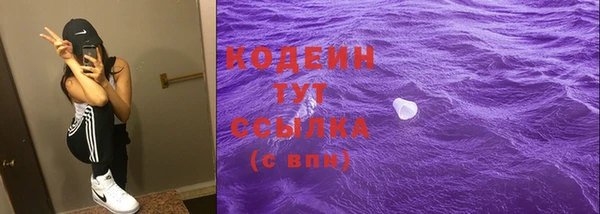 прущие крисы Арсеньев